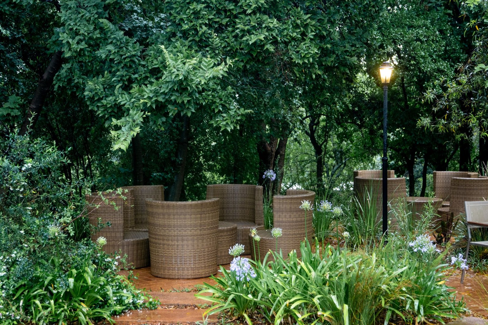 Conjunto de sillones de ratán sintético en un jardín con vegetación, mobiliario de exterior para proyectos de hostelería